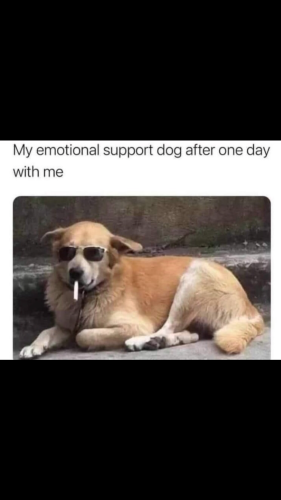 70526C86-618A-442D-8304-D81D6E2625BB