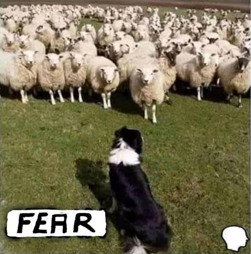 257813331_651469519593882_4856960091426162105_n