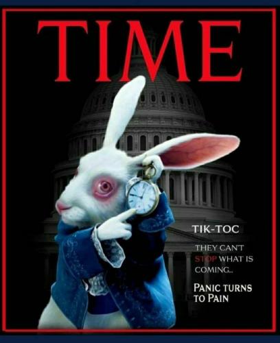 Tumblr_l_35056022854907