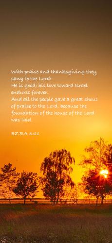 31D765DA-5EE9-4AAE-A848-D69A2E7E677F