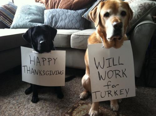 Screenshot_20211125-091204_Brave