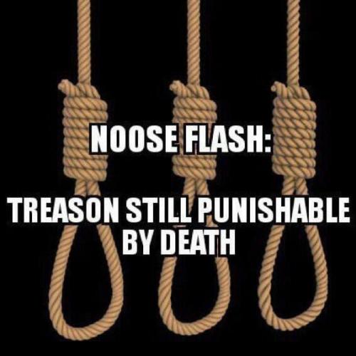 7AE9A5FB-55A3-446A-8FDF-5C71A48B78A1