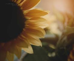 06BB0108-810B-4457-964B-8AB1908113BF