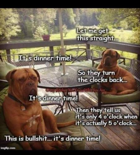 FA9D9079-8636-4F4E-808E-411278868FDC