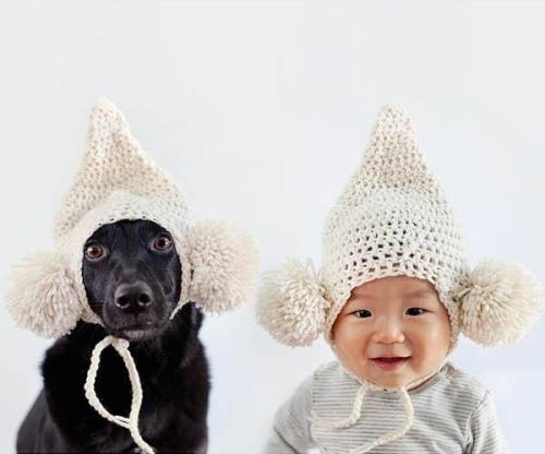 Photographer and mom, Grace Chon, made fashion twins of Zoey, a rescue dog from Taiwan, and Jasper, her son.