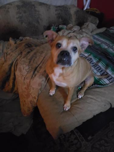 16372134653026138802832833411807