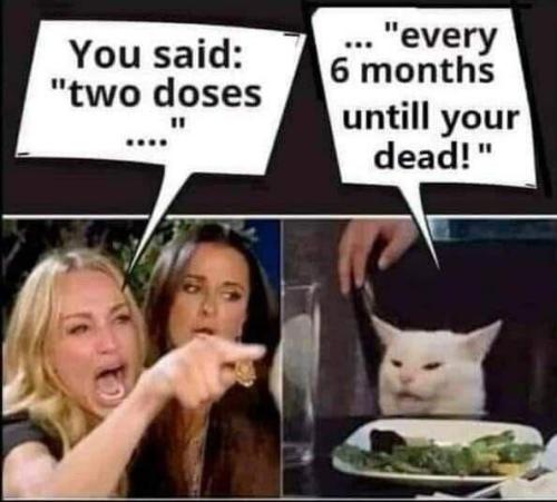 sngine_af8f36caa31cc52c14d983e95a3c5c47