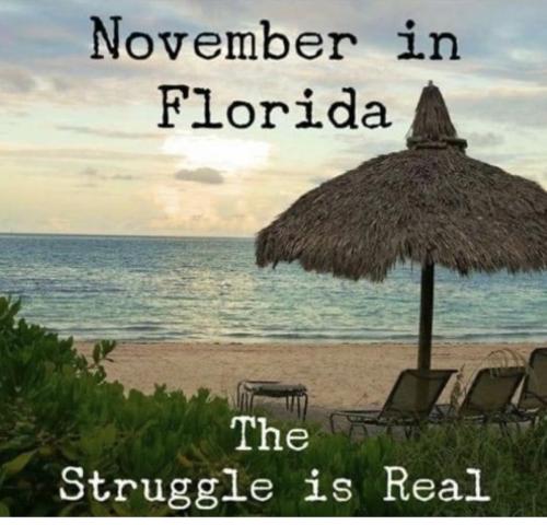 01FC5C74-60A7-4D58-A0C0-A0C5788EB6C9