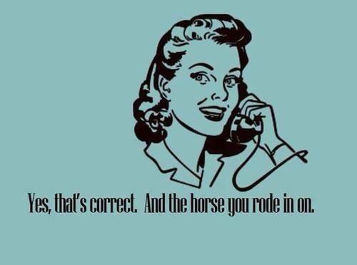 and the horse you rode in on