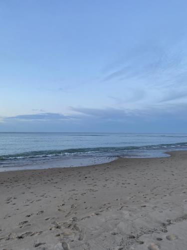 B537C940-0349-42B2-BE88-3DDC3C543756