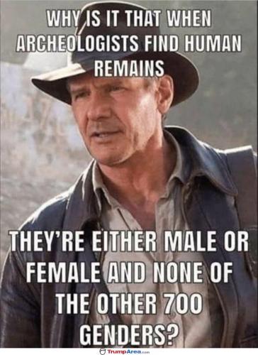 2BC969A9-77EF-4A09-9414-70115C0EB6CB