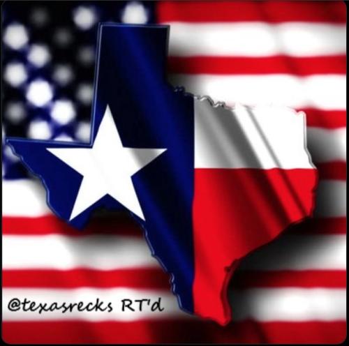 Texas with US flag