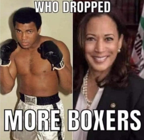 bidenhoboxers