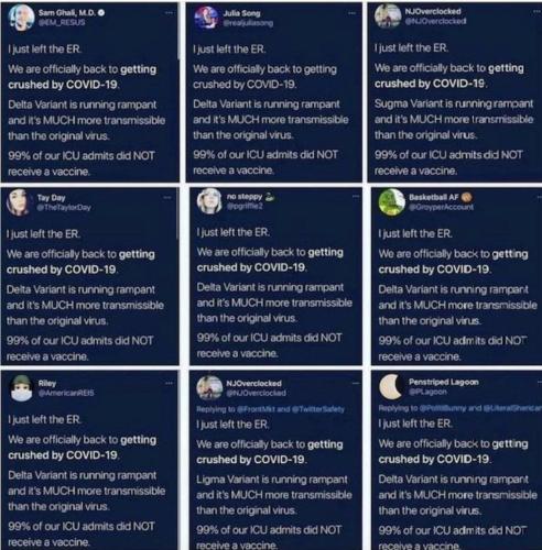 sharing the covid SAME "covid" message across multiple twitter accounts