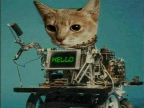 1557731_10152014055126179_733688308662604404_n