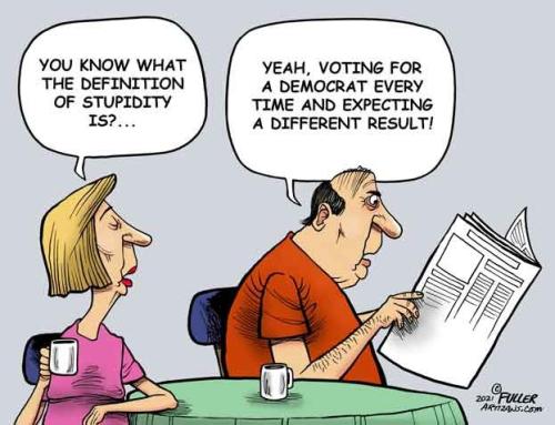Stupidty