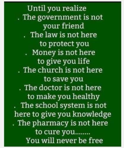 image_1637527412.788