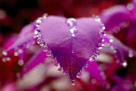 14069C6B-712E-4AF2-B87B-70D68BDEE524