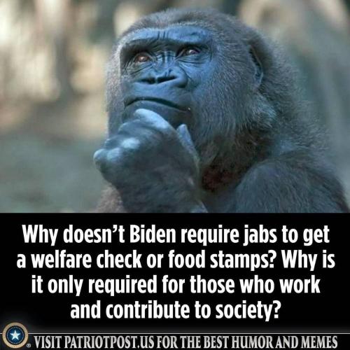 26484fea-c627-4aa9-8405-ffdf39211309