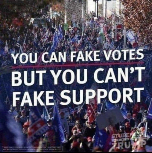 Fake votes but not support
