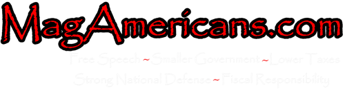 Website Header