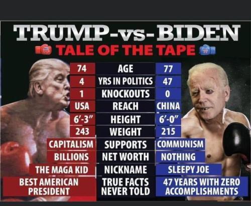 Trump VS biden