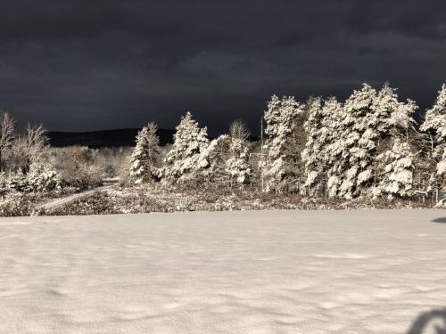 85F66C9B-C5E7-4BEB-BF5A-FD29157880BB_1_102_o