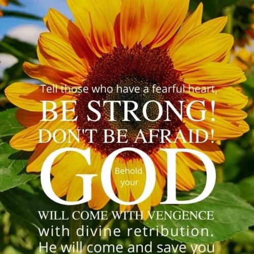 IMG_20211128_200121_405