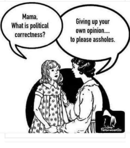 mama-what-is-political-correctness-giving-up-your-own-opinio-37228912