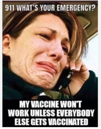 2fe8817bfa02d3fa4eb36375d1c10f5f_1024