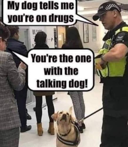 FB_IMG_1635870482943