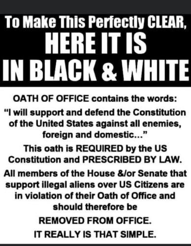 image_1635882864.812