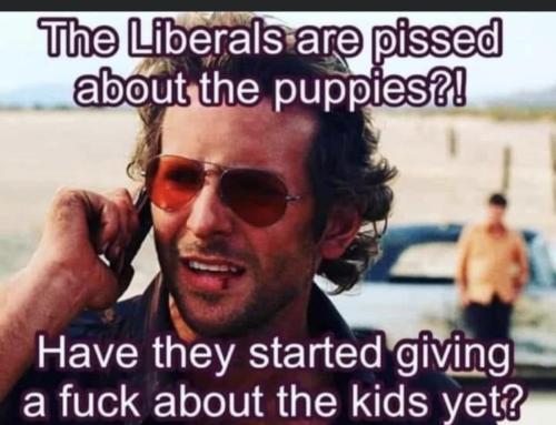 8A09FC4D-73BB-4F3E-A970-968775D2235E