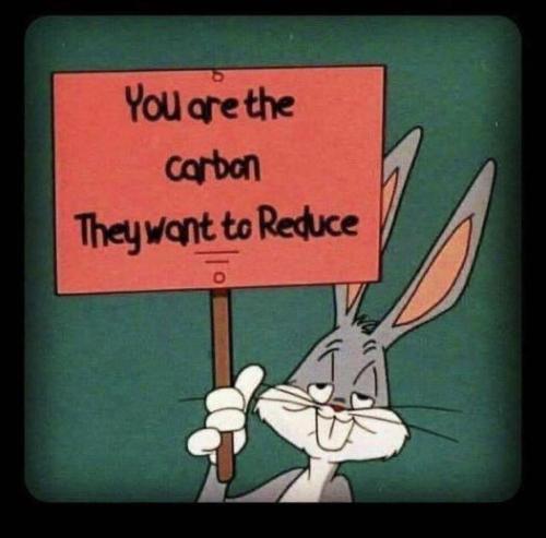 243203161_411703820519455_7938219444411121910_n