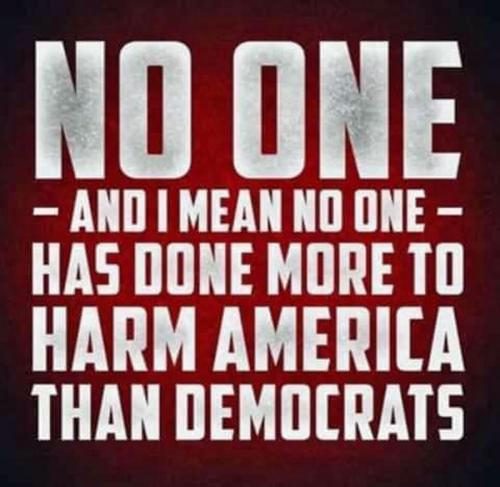 M Dems