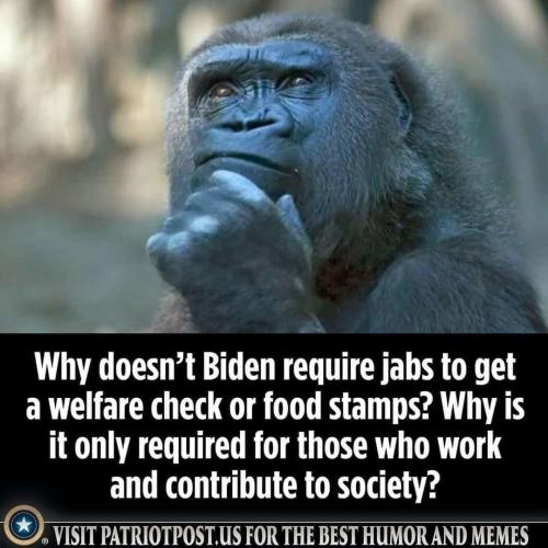 welfare