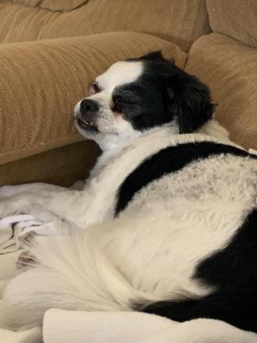 16A7226E-B103-4D80-8058-E05467DF9C73