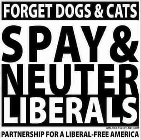 260732455_4940025599354545_5945174188059434187_n