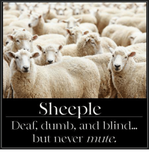 SHEEPLE JAB