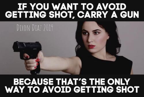 GunControl251
