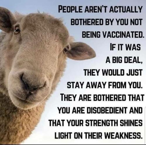 u_6e43b67c04223e69469eda531badf27561a29e214be78__rwow720__rwoh745.4__rwms26.4