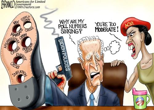 AF Branco Biden Ratings Sink Too Moderate