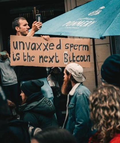 image_1636980673.659