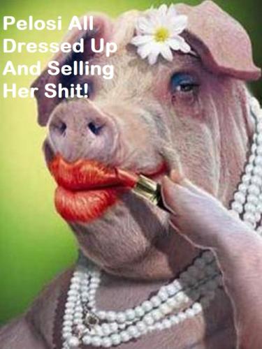 Pelosi Dressed Up Lipstick On A Pig