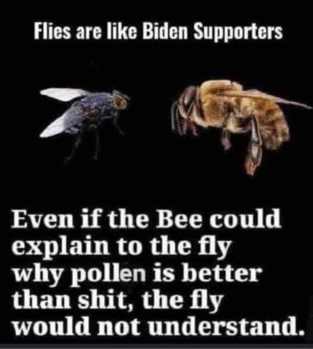 28F76591-3039-490D-891E-614AA0B4B20C