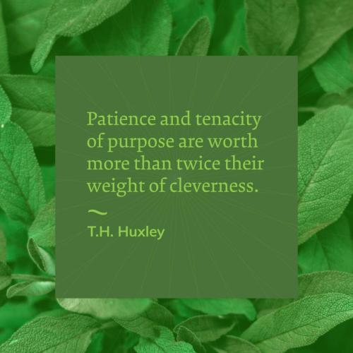 BAC0C805-899B-4DD7-BB6C-8C5C966FD08A