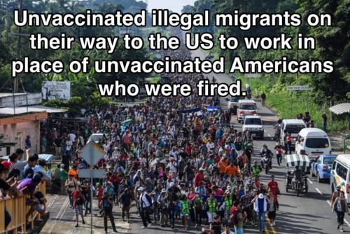 unvaxed illegals