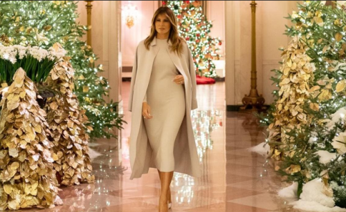 Capture+_2021-11-30-01-58-33(1)