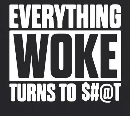 woke-2-shit