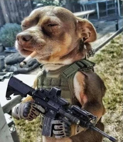 Tumblr_l_16996015947004